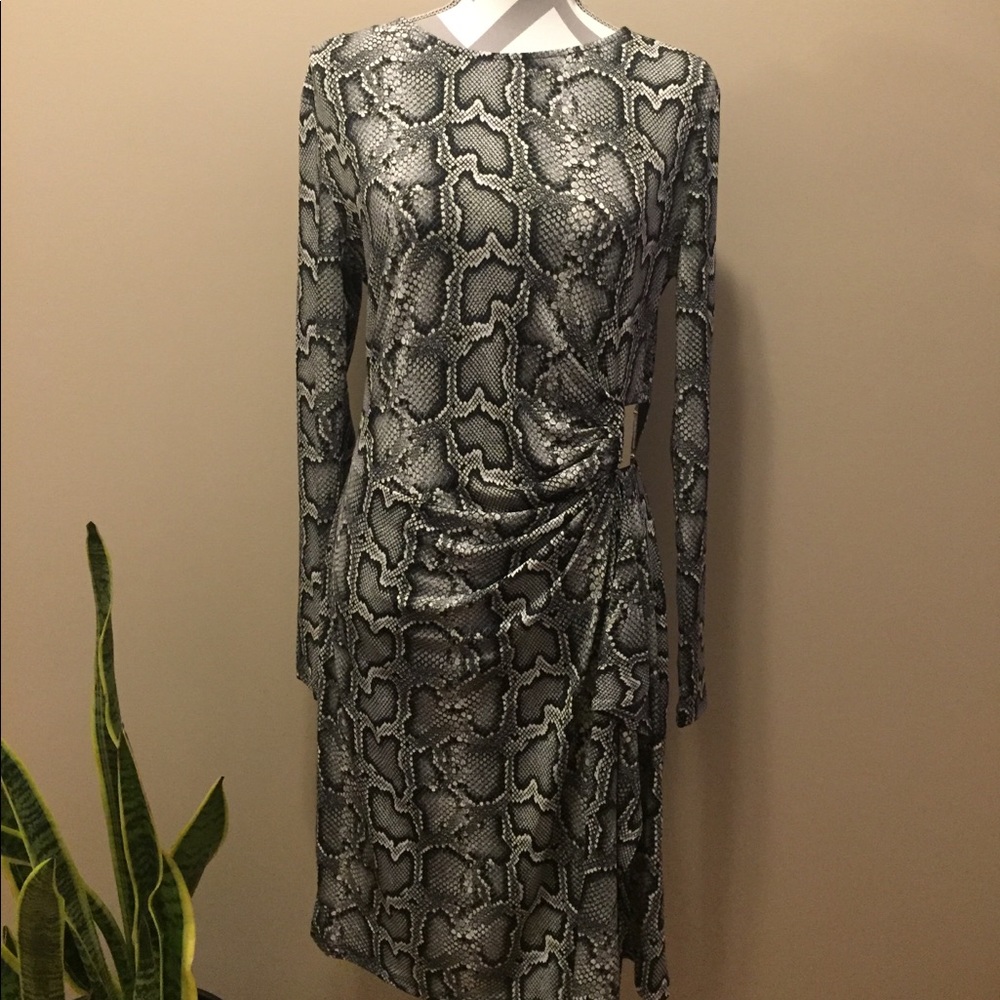 Michael Kor’s Dress